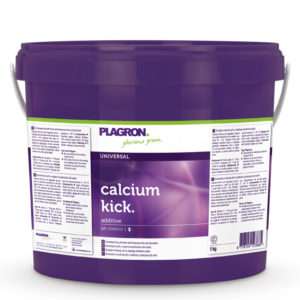 Calcium Kick