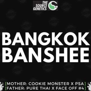 Bangkok Banshee
