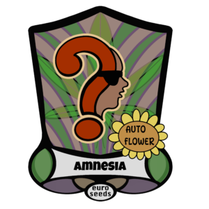 Auto Amnesia